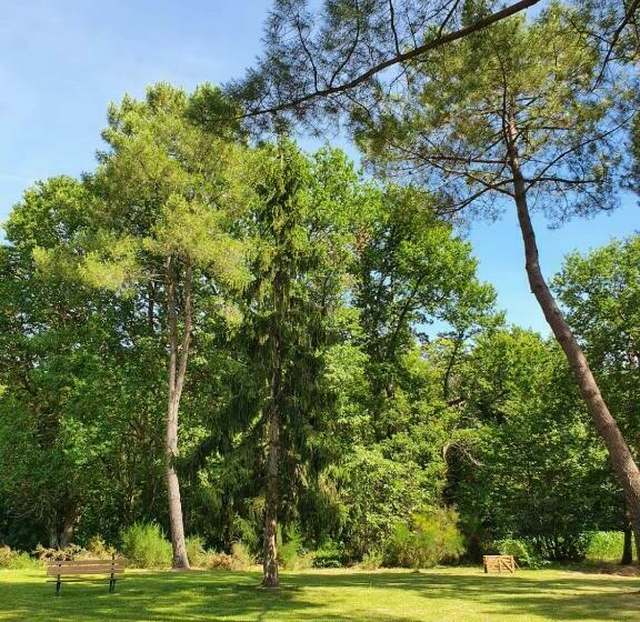 Bed and Breakfast Le Bois Du Bournat