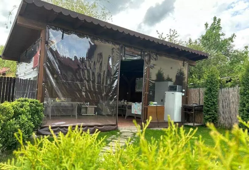 Aamiaismajoitus (B&B) Residence Rooms Bucovina