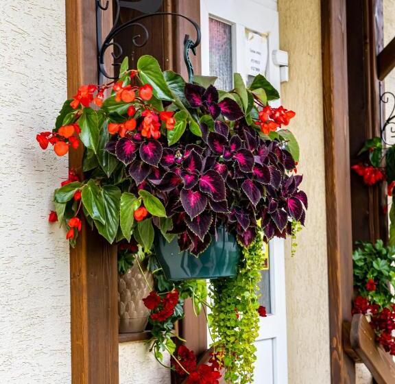 تختخواب و صبحانه Residence Rooms Bucovina