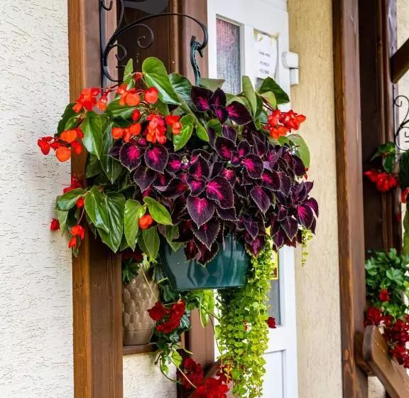 Aamiaismajoitus (B&B) Residence Rooms Bucovina