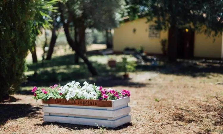 ホテル Agriturismo La Sorgente