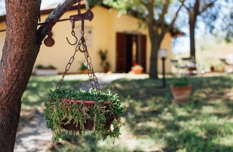 ホテル Agriturismo La Sorgente