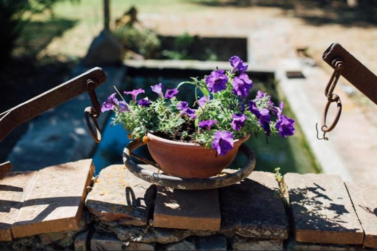 فندق Agriturismo La Sorgente