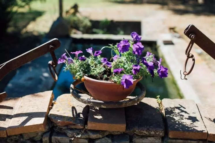 ホテル Agriturismo La Sorgente