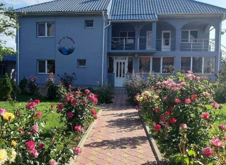 پانسیون Casa Cu Trandafiri Murighiol