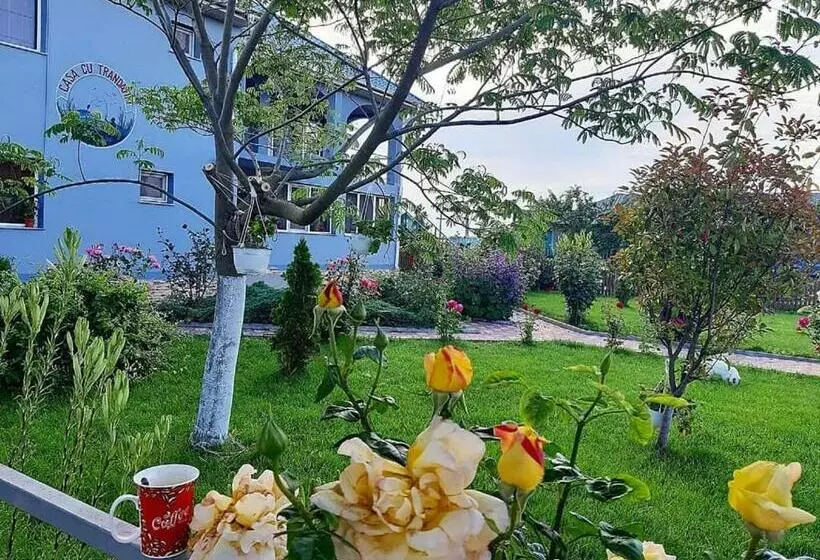 پانسیون Casa Cu Trandafiri Murighiol