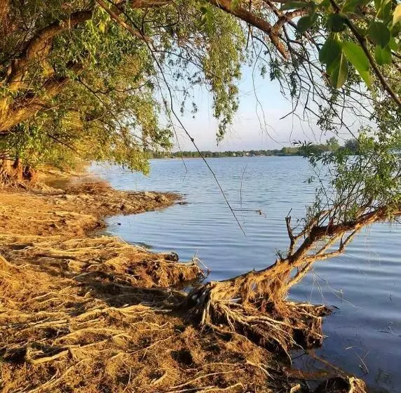 پانسیون Casa Cu Trandafiri Murighiol