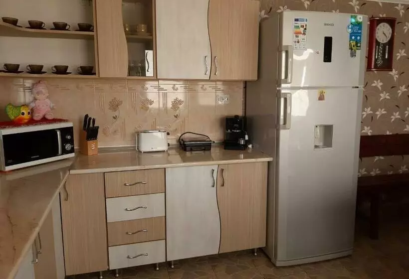 پانسیون Casa Cu Trandafiri Murighiol
