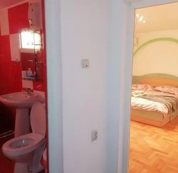 پانسیون Casa Cu Trandafiri Murighiol