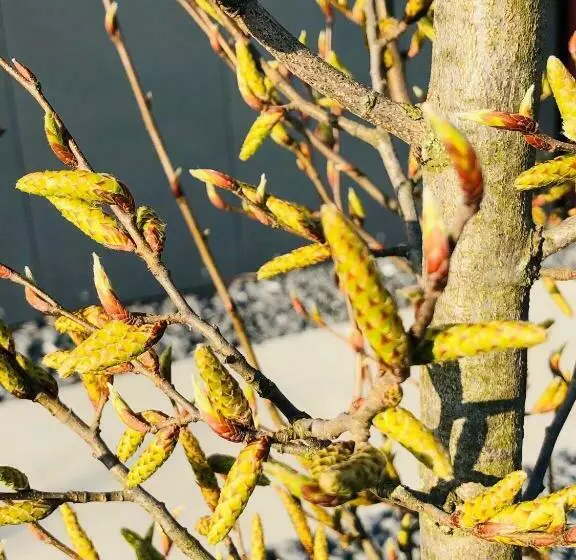 Majatalo Guestroom By Farbgestalt