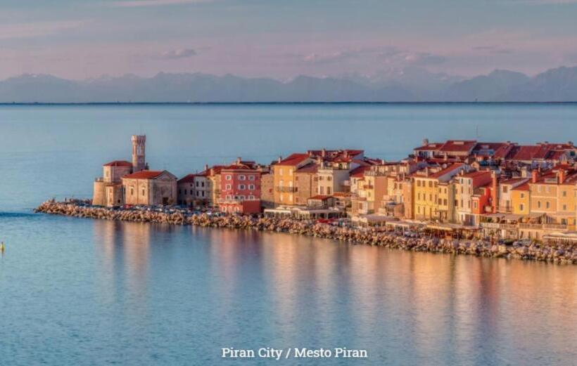 پانسیون Piranart Boutique Hotel & More