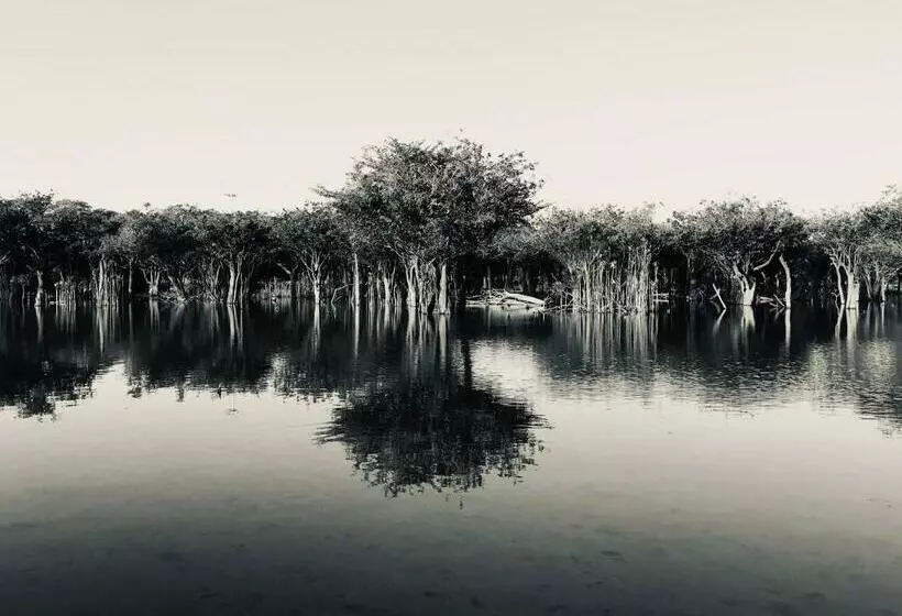 ペンション Quintal Da Cuiarana   50m Da Praia Principal De Alter Do Chão