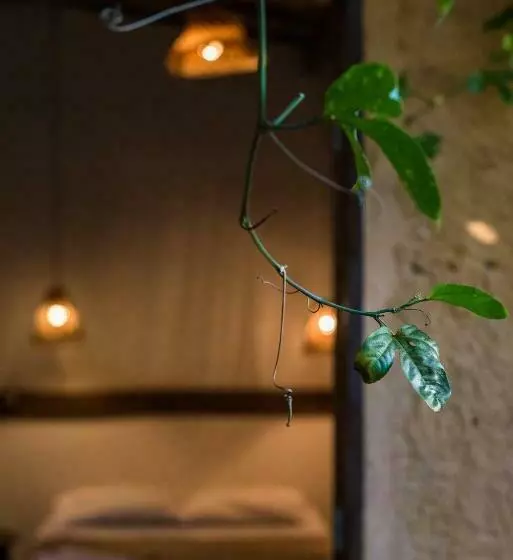 ペンション Quintal Da Cuiarana   50m Da Praia Principal De Alter Do Chão