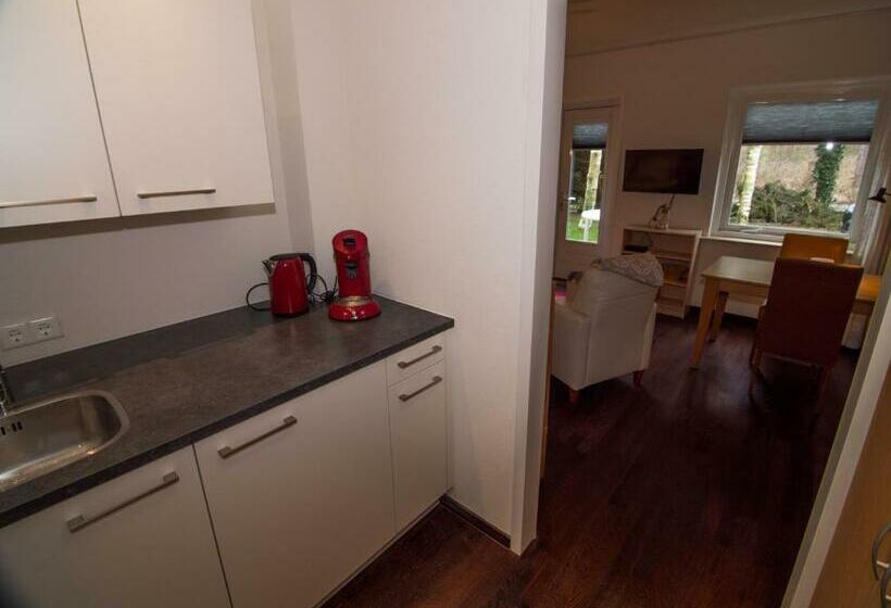 Aamiaismajoitus (B&B) De Vier Berken 2