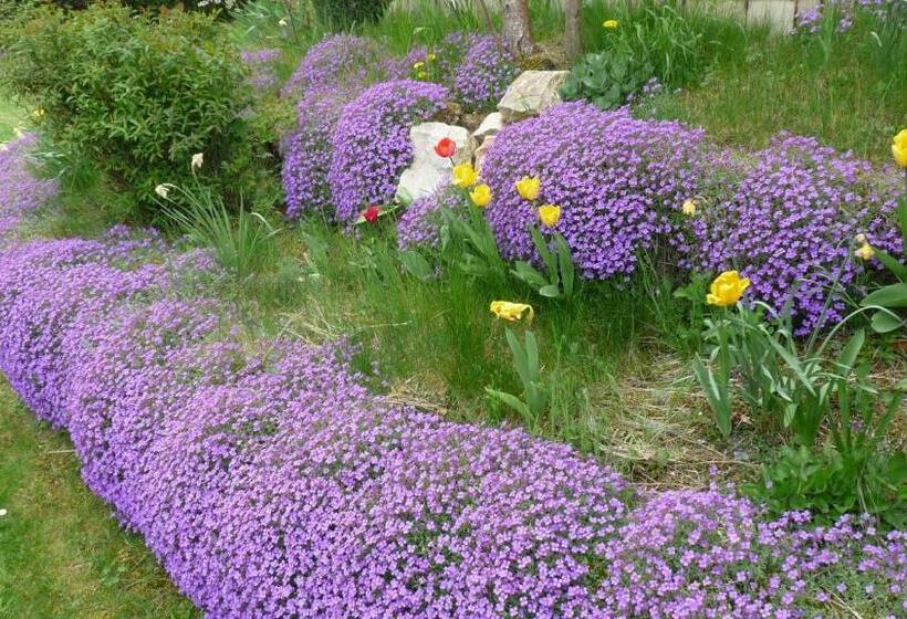 צימר Les Aubretias