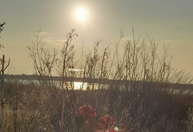 مبيت وإفطار Cocon Provençal T1 25m2 Sdb Terrasse Privée & Accès Piscine à Saint Chamas