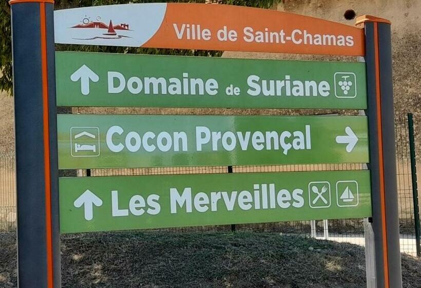 مبيت وإفطار Cocon Provençal T1 25m2 Sdb Terrasse Privée & Accès Piscine à Saint Chamas