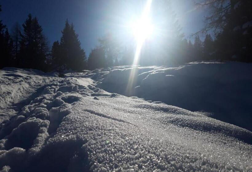 ホテル Ferienwohnung Sagmeister Wirtgut St. Andrä
