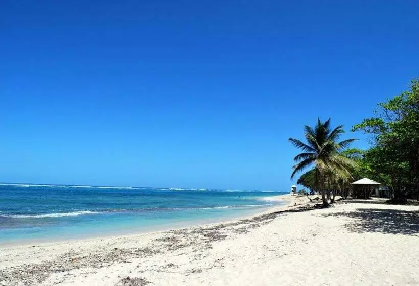 پانسیون Le Cocon