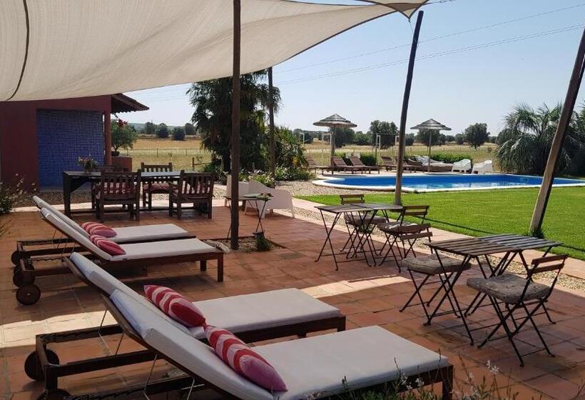 Trendy And Luxe B&b And Garden Suite