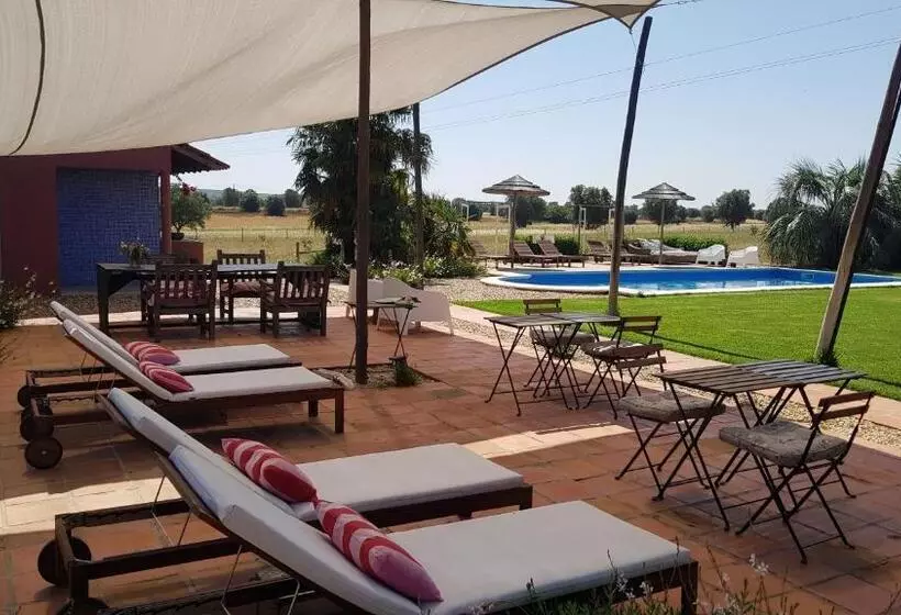 Trendy And Luxe B&b And Garden Suite