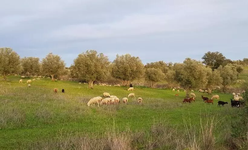 Trendy And Luxe B&b And Garden Suite