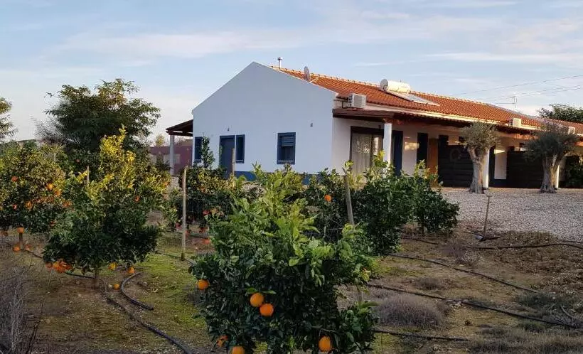 Trendy And Luxe B&b And Garden Suite