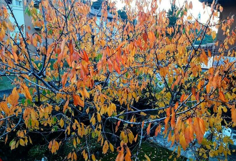 B&b Dimora Dei Folletti