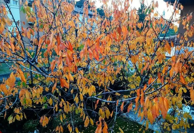 B&b Dimora Dei Folletti