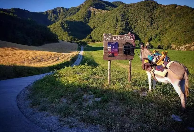 B&b Luna E Stelle