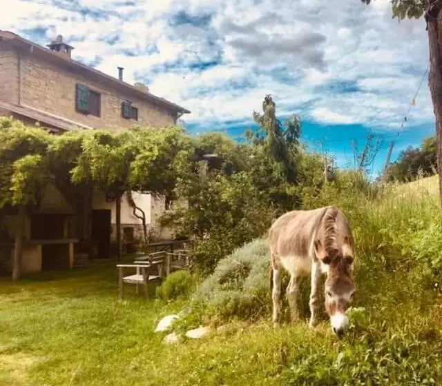 B&b Luna E Stelle