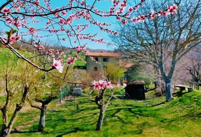 B&b Luna E Stelle