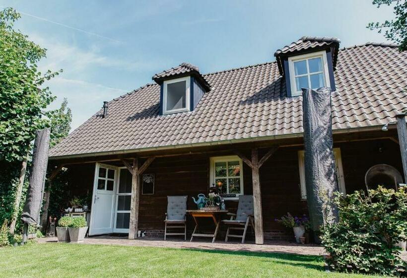 住宿加早餐  Blauwe Lucht