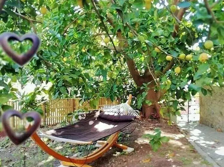 Bela Adormecida B&b
