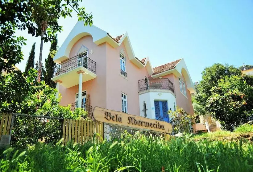 Bela Adormecida B&b