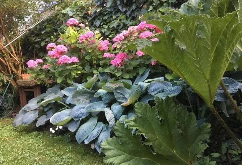 Côté Jardin, Chambres D’hôtes B&b