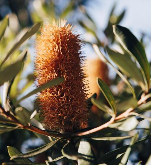 Hotel Dunkeld Studio Accommodation