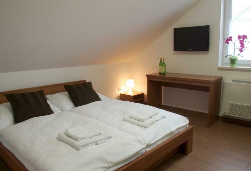 Пансион Penzion Buriánkovi