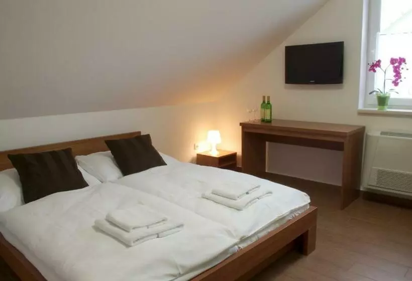 ペンション Penzion Buriánkovi