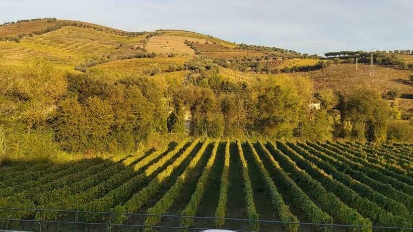 بنسيون Hospedaria Vale Do Rodo Residencial