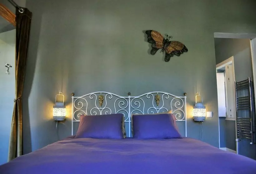 Bela Adormecida B&b