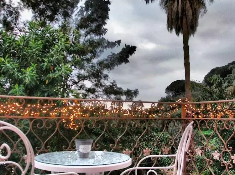 Bela Adormecida B&b