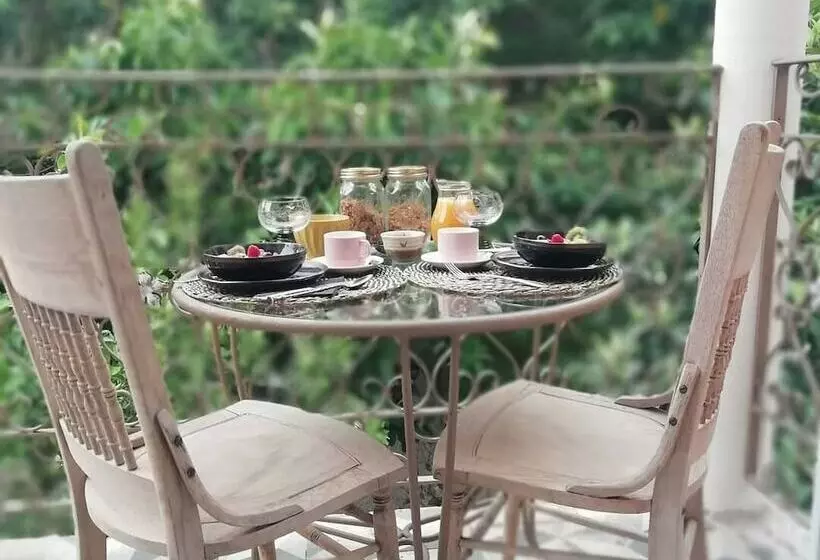 Bela Adormecida B&b