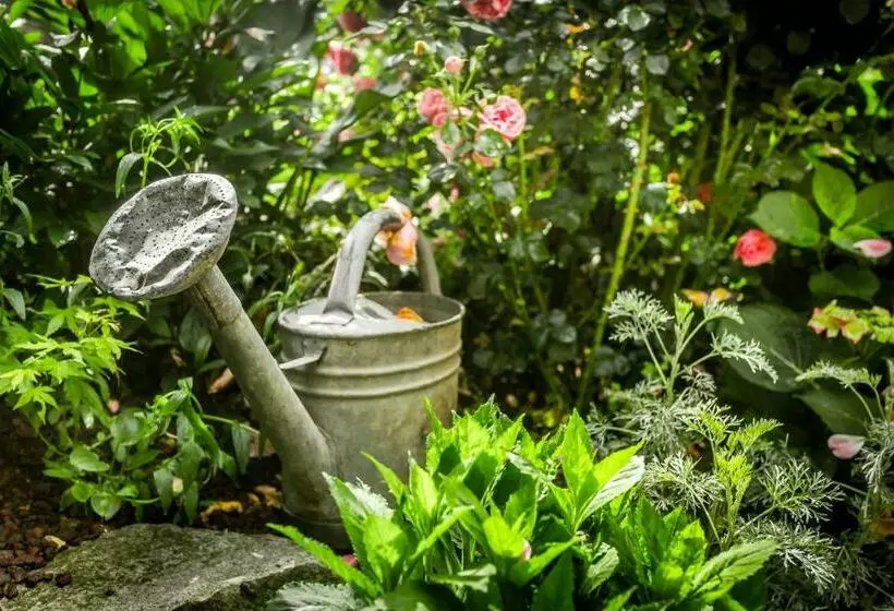 تختخواب و صبحانه La Maison D Idylle