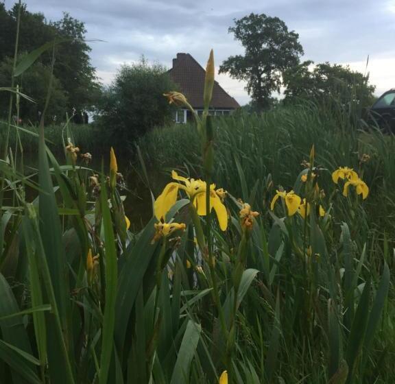 ベッドアンドブレックファースト Logies De Meerkoet