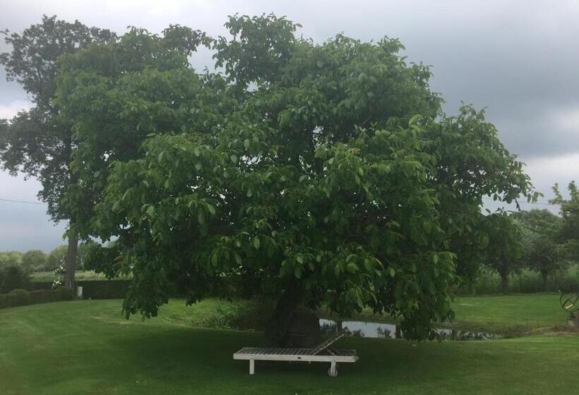 ベッドアンドブレックファースト Logies De Meerkoet