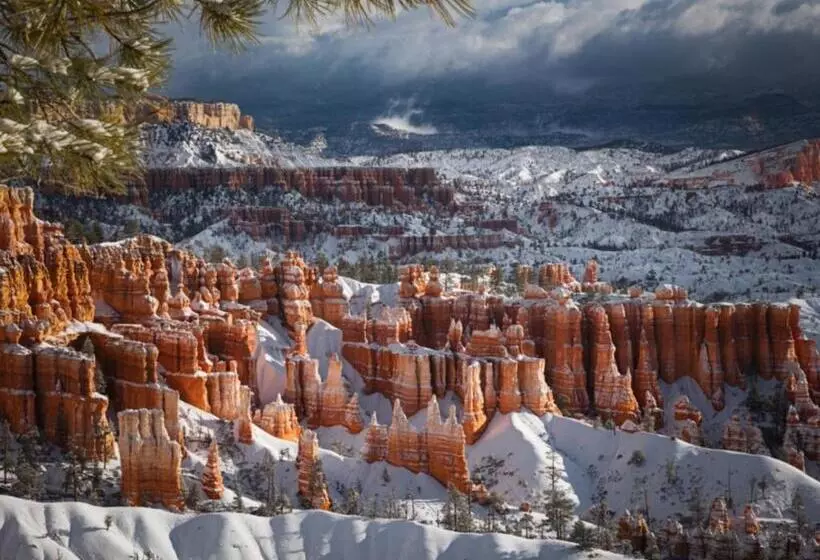 Bryce Trails Bed And Breakfast