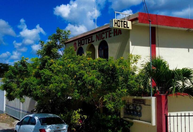 فندق Nicte Ha