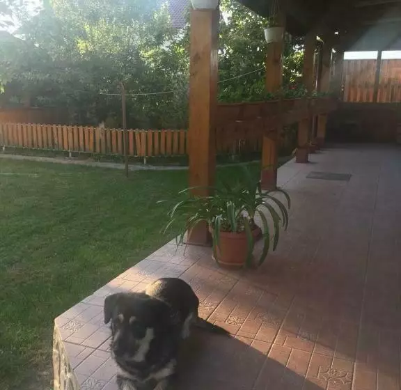 ペンション Casa Albinuta