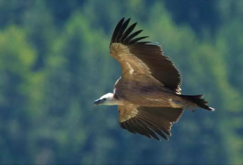 ベッドアンドブレックファースト Entre Terre Et Ciel